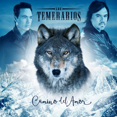 Canciones Shazam - 2