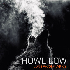 Continue On (HOWLLOW)