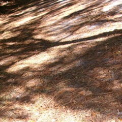 dont hide feelings (darksettt)