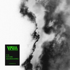 Various Artists - Future Soundscapes (Preview)