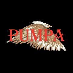 Pumpa - Hrabičky (DnB Remix)