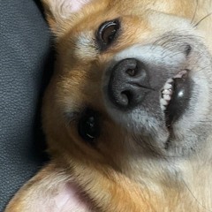 힙합할배