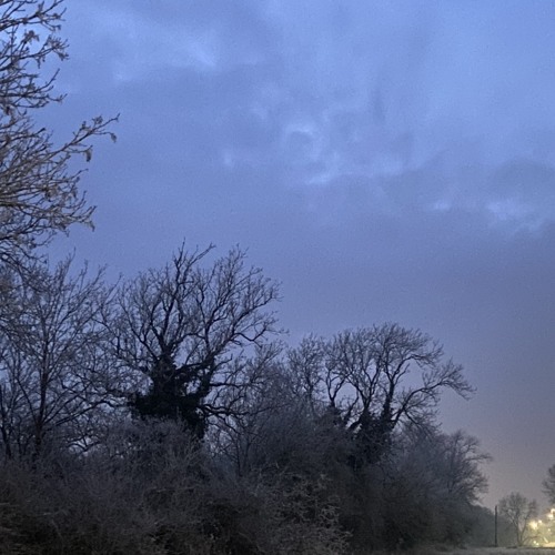 to whom it may concern (interlude)