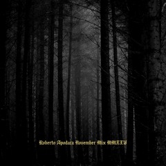 Roberto Apodaca November Mix 2025