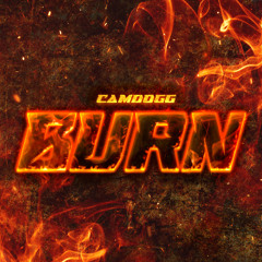 Burn (Prod. LoneGud)