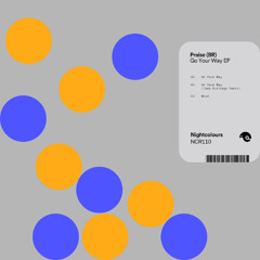 Premiere: Praise (BR) - Go Your Way (Juan Buitrago Remix) [Nightcolours]
