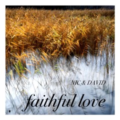 Faithful Love - [David.k.A.Spencer. with Nic's vocals]