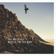 Blood On The Highway