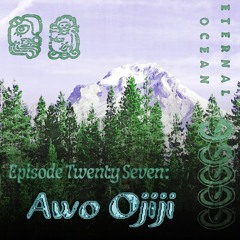 Episode Twenty Seven - Awo Ojiji