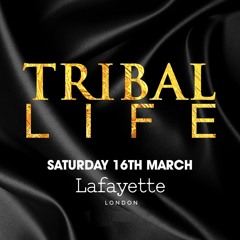 Wigman B2B Petchy with Fro & Darkman Zulu LIVE RECORDING at Tribal Life 16th March 2024