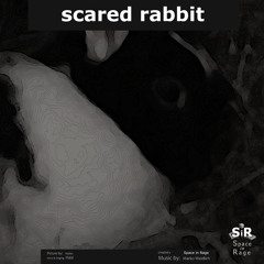 scared rabbit
