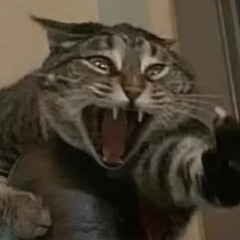 ṪḦЁ ĊḦïṄ ĊḦЁĊḲЁṚ.ᐟ