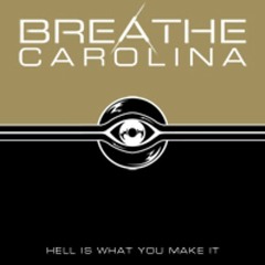Breathe Carolina- Blackout (Zander pulse remix)