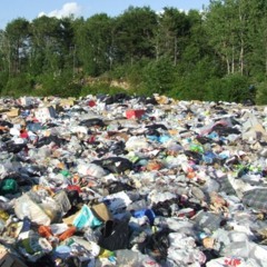 Veteran Tags Snippet (prod. Kizo Drain)