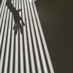 tin lover (draft v2)