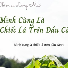 Mình Cùng Là Chiếc Lá Trên Đầu Cành | We Are All The Leaves Of One Tree | Thiền Ca Làng Mai