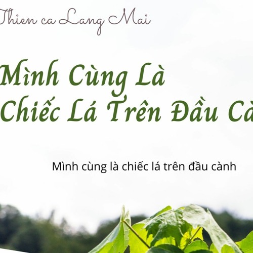 Mình Cùng Là Chiếc Lá Trên Đầu Cành | We Are All The Leaves Of One Tree | Thiền Ca Làng Mai