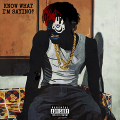 Know What I’m Saying? (Prod. Insignia)