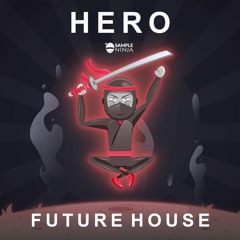 Sample Ninja - Hero Future House