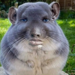 ATRIP - Give it up 2 me Dub