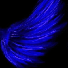 flywithme (ft sbtrackz)