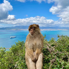 keep on da sunny side twin