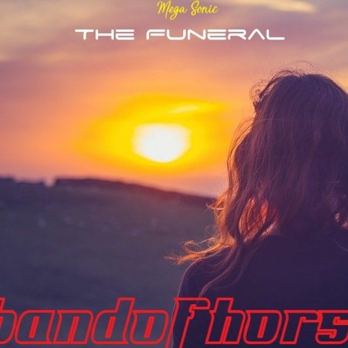 Mega Sonic - The Funeral (ft. Band of Horses) 2o21