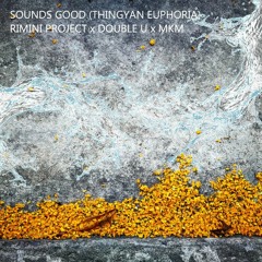 Thingyan Euphoria (Sounds Good)(Annoying Buffalo Out of the blue Edit)