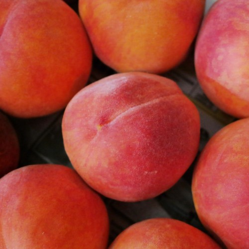 Stream Funky Disco House Mix By Cole 2022 Peaches By Dalibor osi 