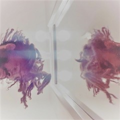 Oneiric Delirium EP [fuul]