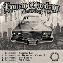 HUMAN WRECKAGE (ON ALL PLATFORMS)