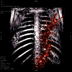 Reflections (lavendr)