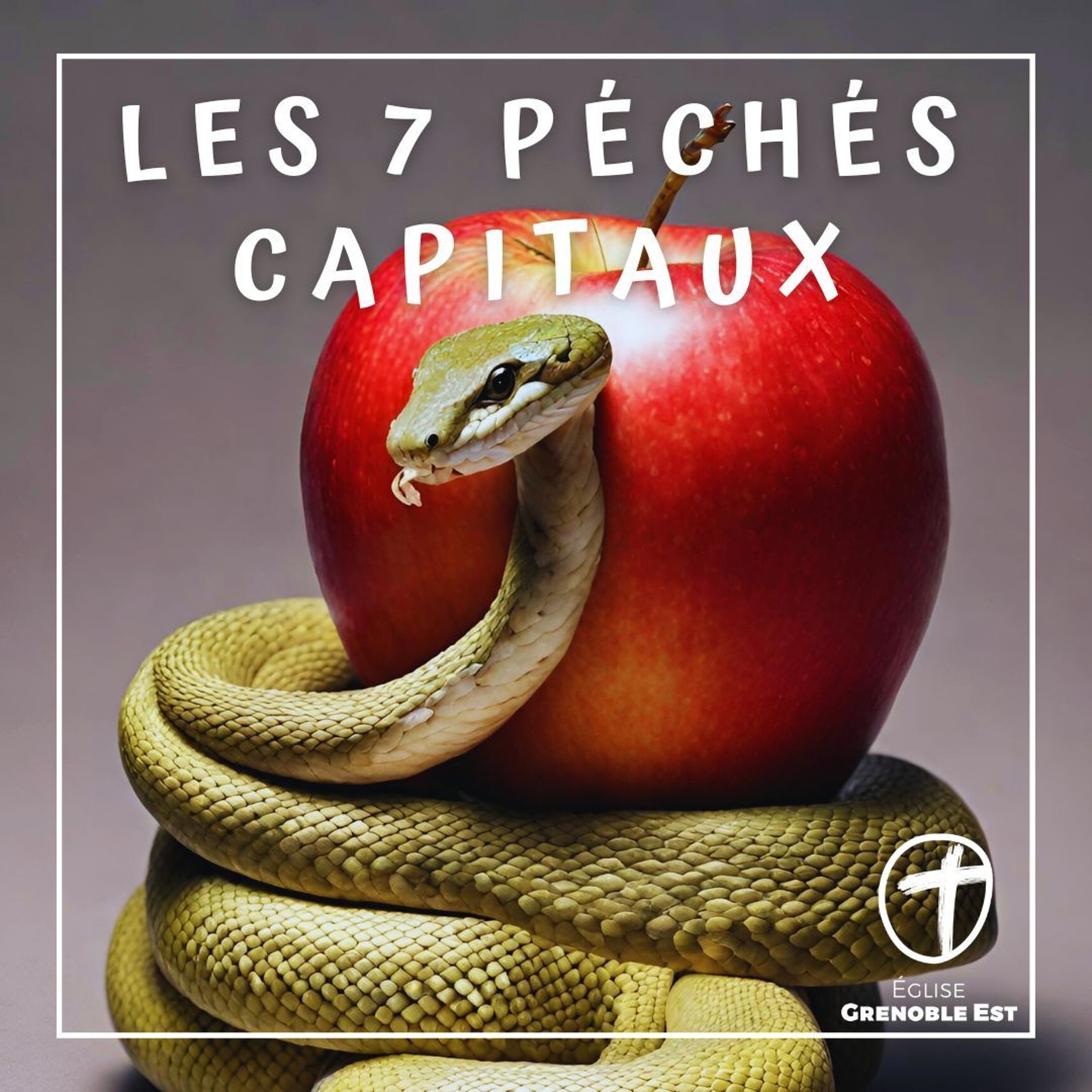 La COLÈRE MALSAINE : quand le désaccord se déchaîne [Ephésiens 4.25 - 5.2]