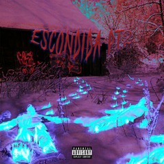 ESCONDIDA Pt.2 (prod. r1di0k & blackmatter)