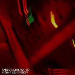 RANDOM SYNERGY 001 || NIZHNA b2b SAKSEEV