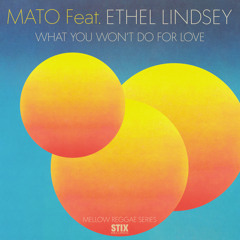 What You Won't Do For Love (Mato Mellow Reggae Mix) [feat. Ethel Lindsey]