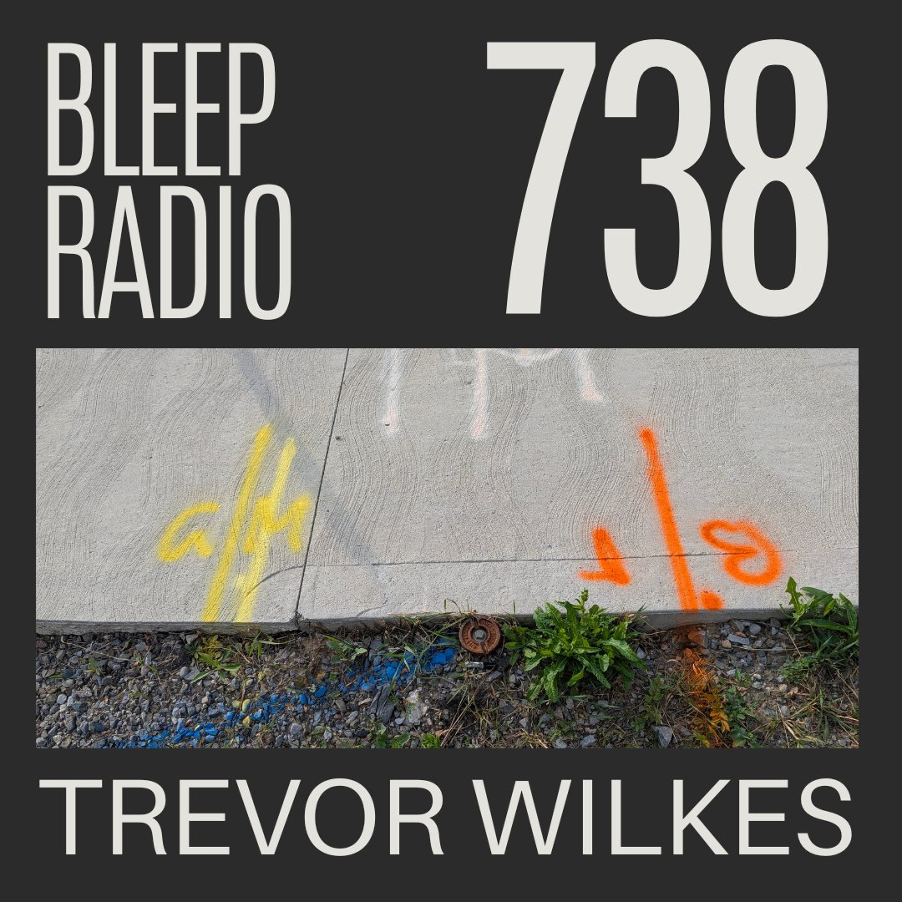 Bleep Radio #738 - Trevor Wilkes [Naked Wall] episode artwork