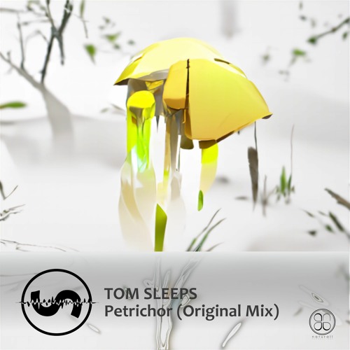 N4A105 - Tom Sleeps - Petrichor