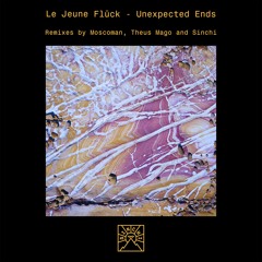 Premiere: Le Jeune Fluck - Unexpected Ends (Sinchi Remix) [Sinchi]