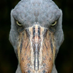 disrespectful. (prod. bennie.g.beats)