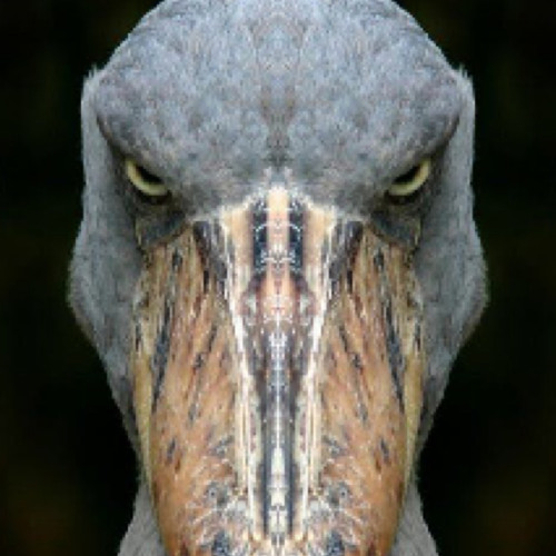 disrespectful. (prod. bennie.g.beats)