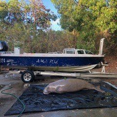 winzy remix 2024 🙌🏾🇵🇬🔥