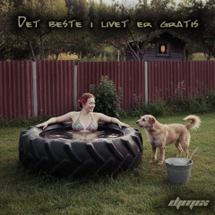 Vazelina Bilopphøggers - Det Beste I Livet Er Gratis (djMIX Tropical House Remix)