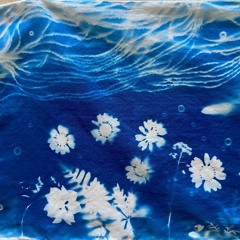 blueprint