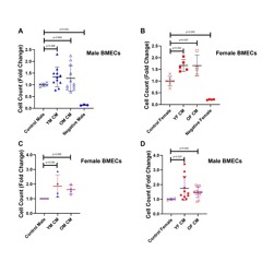 Effects of Megakaryocyte Conditioned Media on Endothelial Cell Angiogenesis