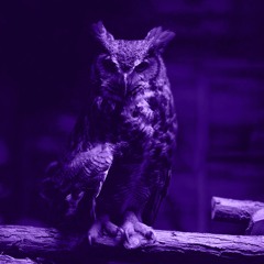 Owl City (Drake Sample Type Beat)