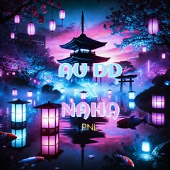 Pnl - AU DD X NAHA (REMIX) By Pn Prod