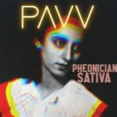 Pheonician Sativa
