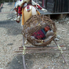 TRAVOIS ACROSS STONY GROUND