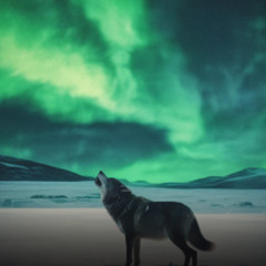 Siberian Revolt-6